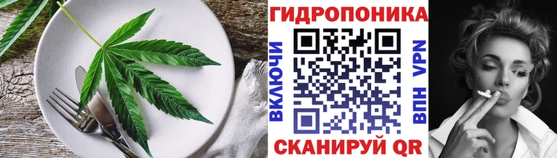 наркотики  Тверь  Cannafood конопля 