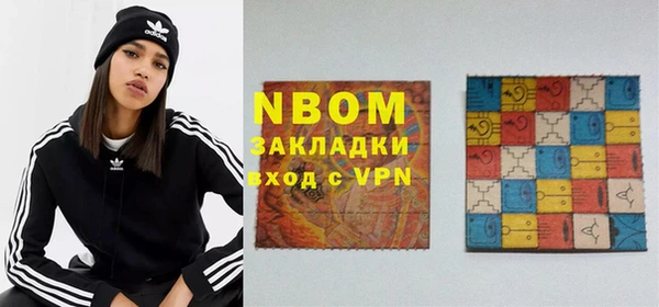 индика Алексин