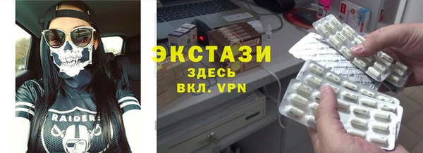 индика Алексин