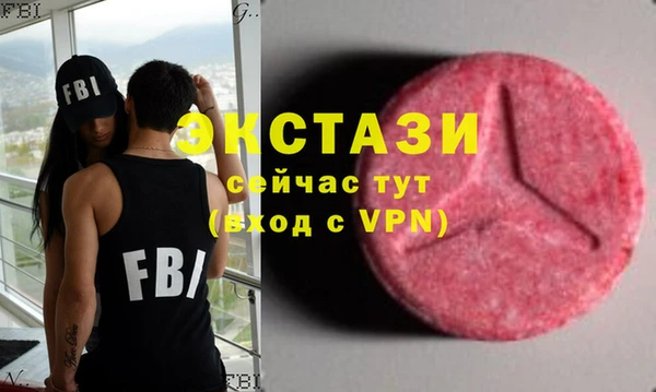 индика Алексин