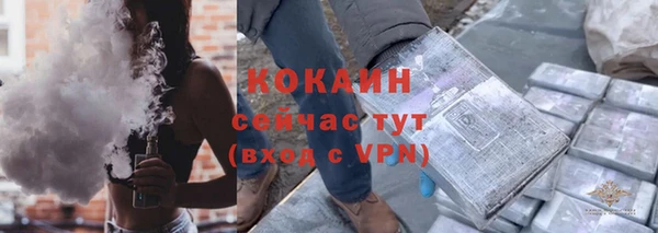 индика Алексин