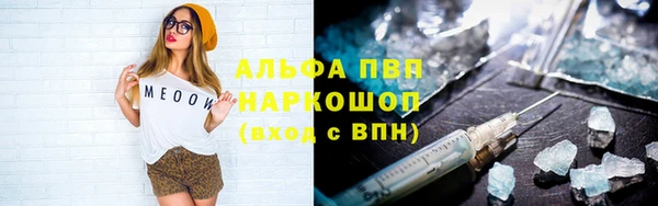 индика Алексин