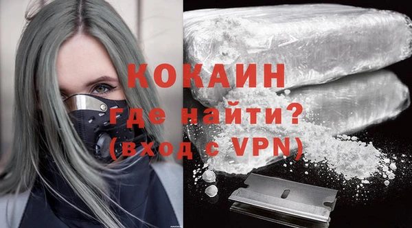индика Алексин