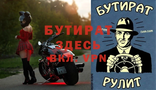 индика Алексин