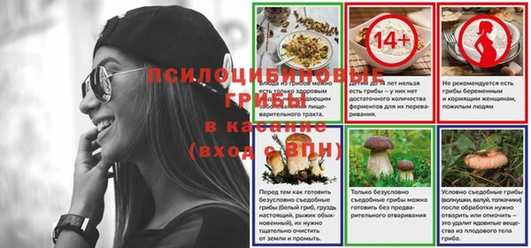 индика Алексин
