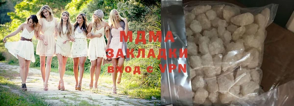 индика Алексин