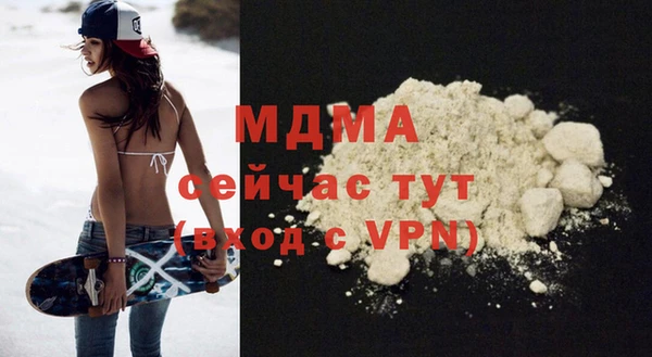 индика Алексин