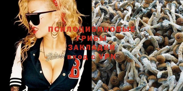 бутират Алексеевка