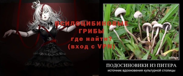 индика Алексин