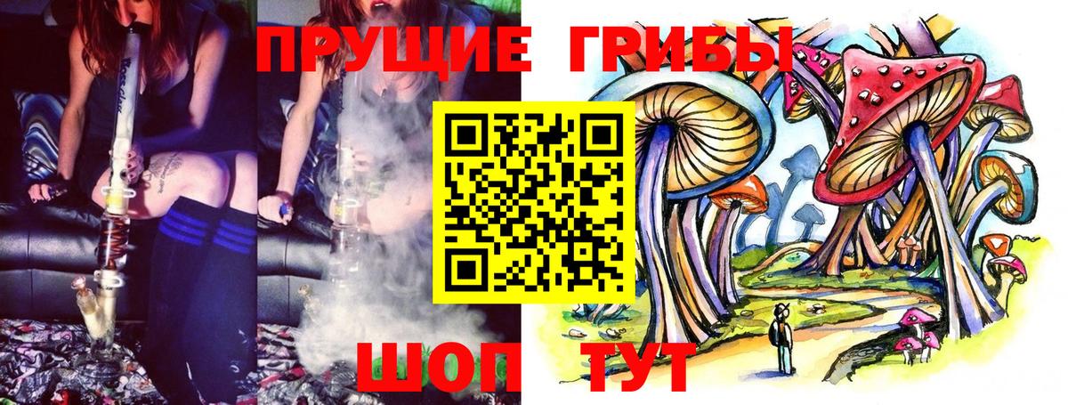 ГАШ Тверь