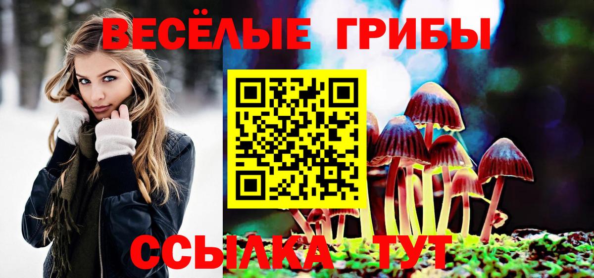 Псилоцибиновые грибы ЛСД  Вход с VPN  Тверь  Галлюциногенные грибы Psilocybine cubensis 