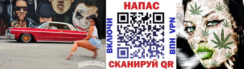 Бошки Шишки тримм мега ссылки Тверь